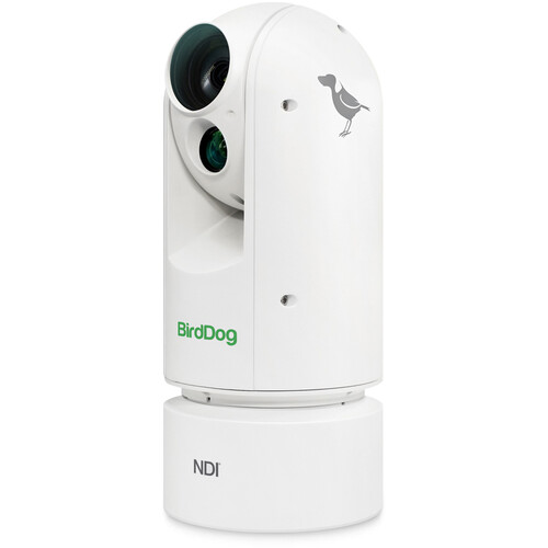 birddog-eyes-a300-1080p-full-ndi-ptz-camera-with-sony-sensor-and-sdi